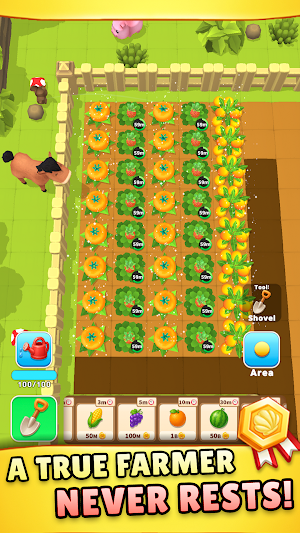 My Beautiful Farm Screenshot 1