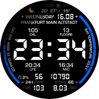 BIGWATCH MAX