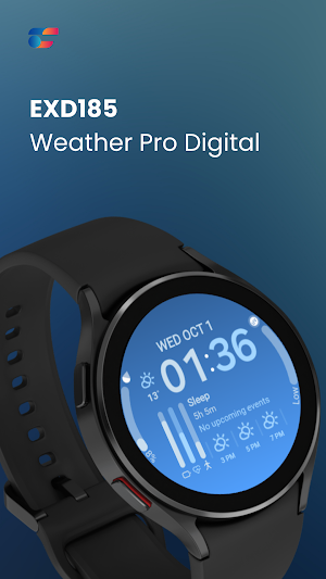 EXD185: Weather Pro Digital Screenshot 0