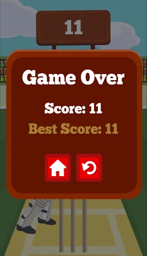 Cricket Pro Screenshot 1