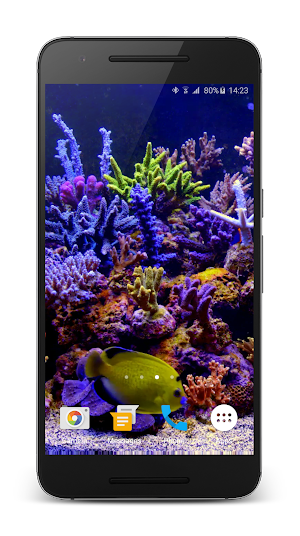 Aquarium Video Live Wallpaper Screenshot 3