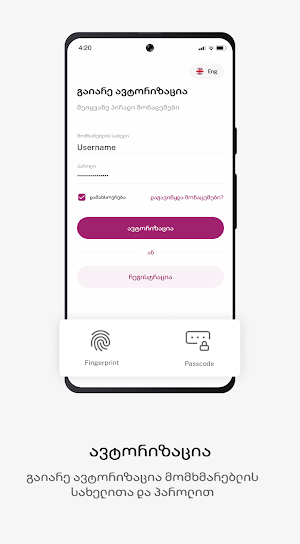Terabank Screenshot 0
