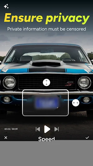 Mosaic Blur : Photo & Video Screenshot 2
