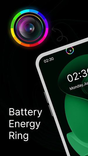 Battery Indicator Energy Ring Screenshot 1