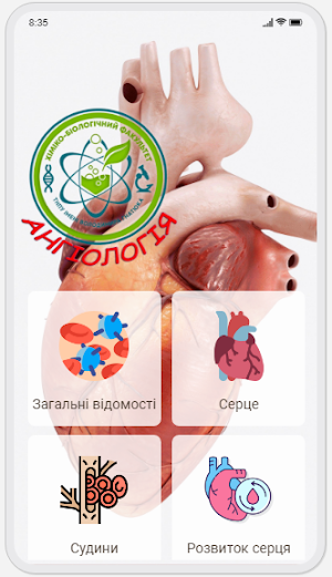 Human Anatomy. Angiology Screenshot 0
