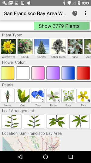 San Francisco Bay Area Wildflowers Screenshot 0