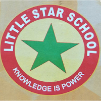 Little Star School