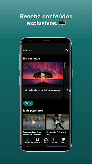 PIBVA Screenshot 1