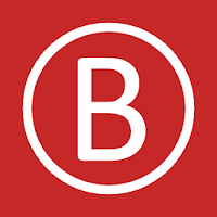 Bingo number generator & caller