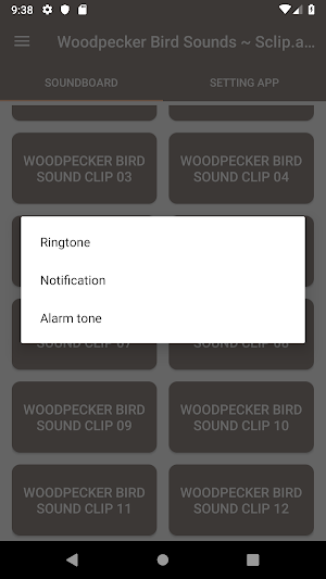 Woodpecker Bird Sounds ~ Sclip.app Screenshot 2