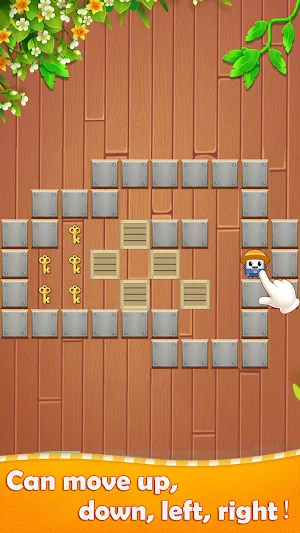 Push Box - Sokoban Puzzle Screenshot 0