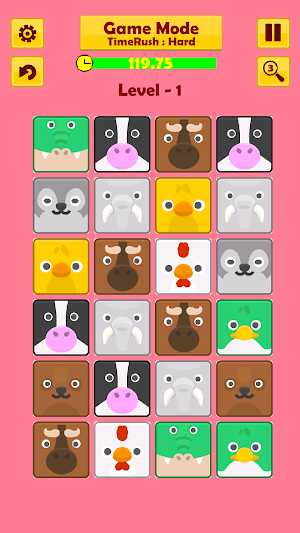 Find Twins Screenshot 3