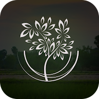 Organic Farm : Fresh Vegetable