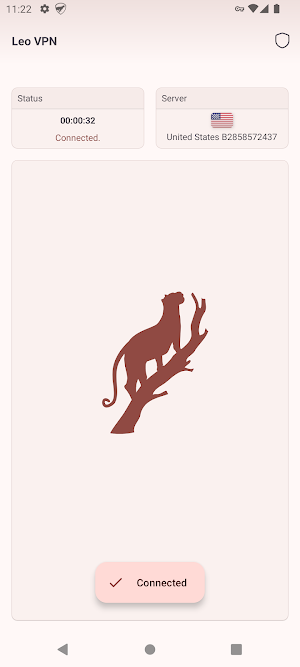 Leo VPN Screenshot 3