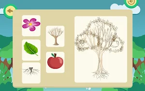EntornoNatural-Plantas MIDI-AM Screenshot 3