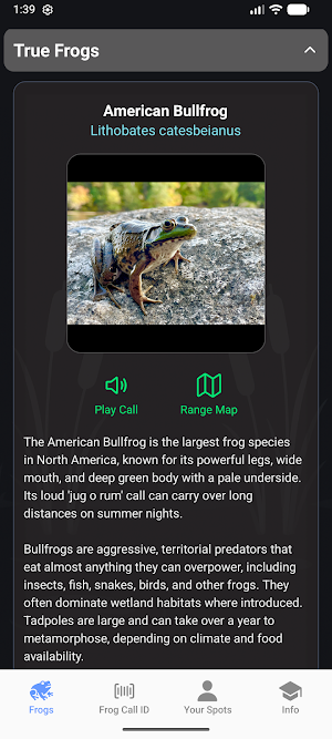 Frog Spot Screenshot 1