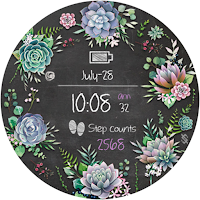 BFF71-Blackboard Art Succulent