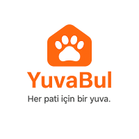 Yuvabul