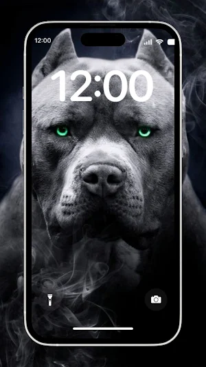 Pitbull Dog Wallpaper Screenshot 2