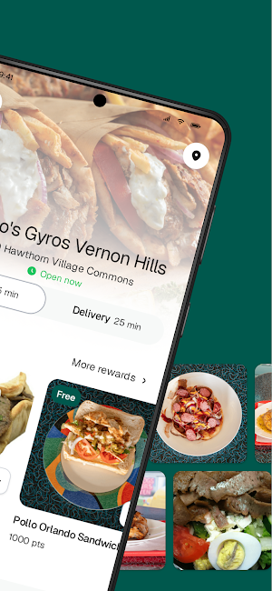 Bo-Bo's Gyros Vernon Hills Screenshot 1