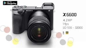 Sony Alpha 6600 Guide Screenshot 2