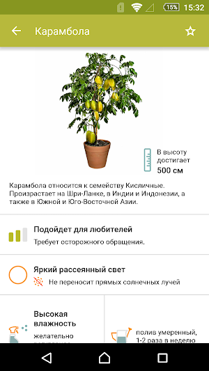 Комнатные растения Screenshot 0