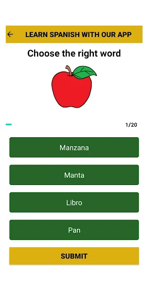 Spanish Vocabulary Test Screenshot 0