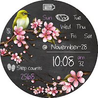 BFF32- Blackboard Art Bird