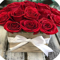 Pictures of Roses