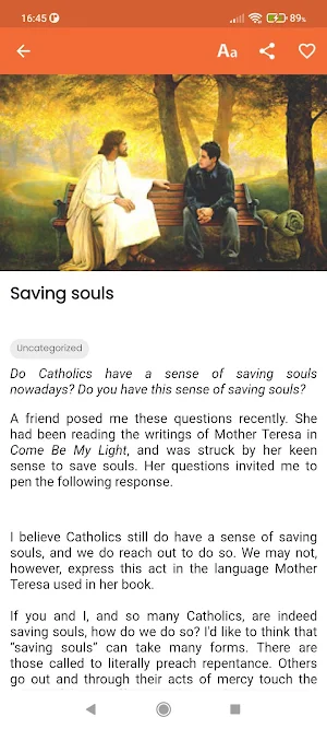 Daily Homilies & Reflections Screenshot 2