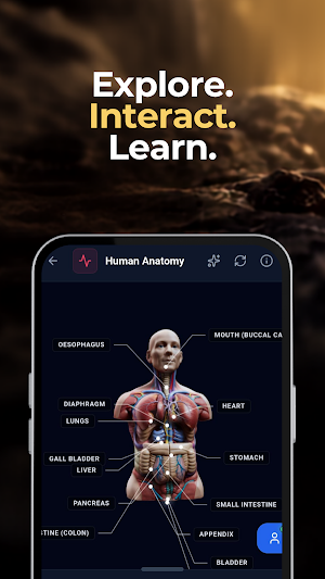 Mitoze: Interactive Learning Screenshot 1