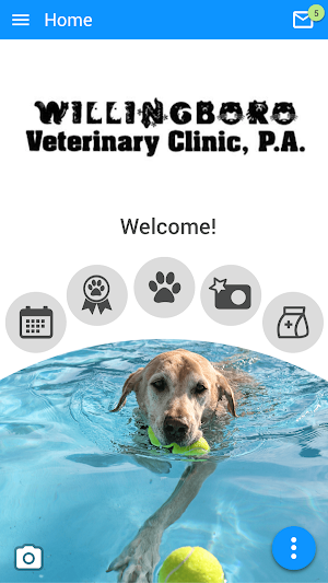 Willingboro Veterinary Clinic Screenshot 0
