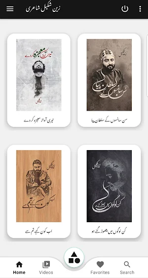Zain Shakeel Poetry Screenshot 3