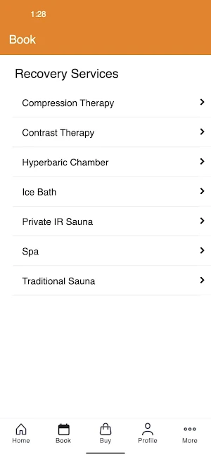 Rapid Recovery NT Screenshot 1