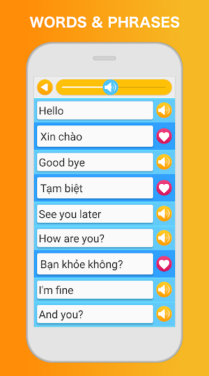 Learn Vietnamese - Language Learning Pro Screenshot 2