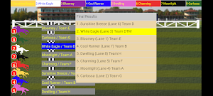 HorseRace Manager Trial Screenshot 2