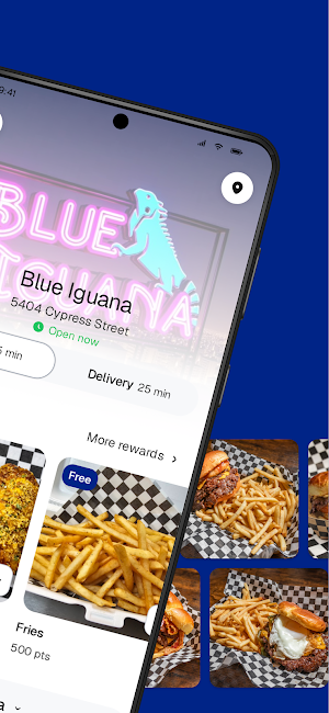 Blue Iguana To Go Screenshot 1