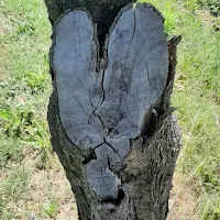 RoSbiru