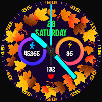Plane Leaves Analog Watch Face