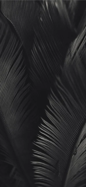 Trees Wallpapers Screenshot 0
