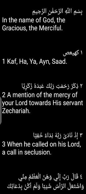 Saud Al-Shuraim Offline Screenshot 3