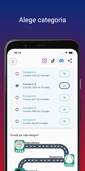 Chestionare DGPCI Screenshot 2