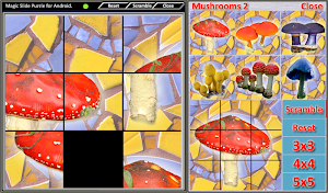 Magic Slide Puzzle Mushrooms 2 Screenshot 0