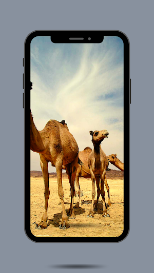 Camel Ringtone Screenshot 0