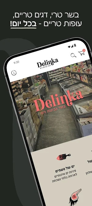 Delinka Screenshot 0