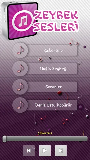 Zeybek Sesleri - 6 Screenshot 0