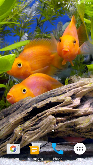 Aquarium 4K Live Wallpaper Screenshot 2