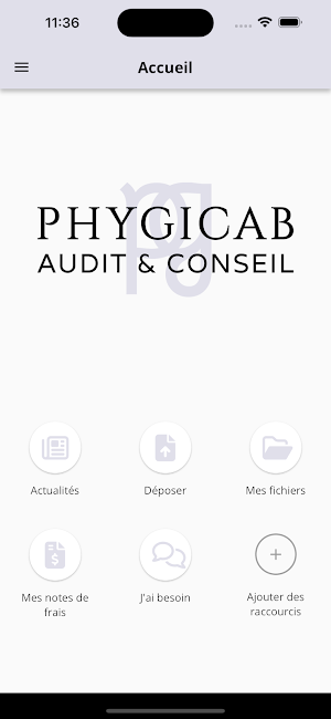 PHYGICAB AUDIT & CONSEIL Screenshot 1