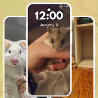 Cute Hamster Wallpaper 4K