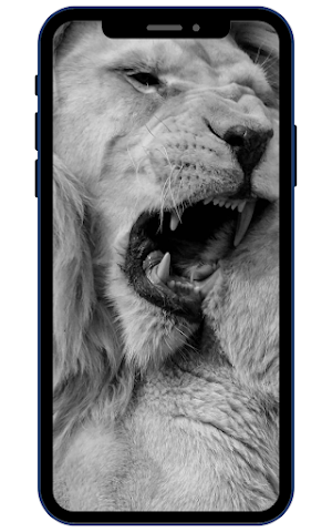 White Lion Wallpapers Screenshot 1
